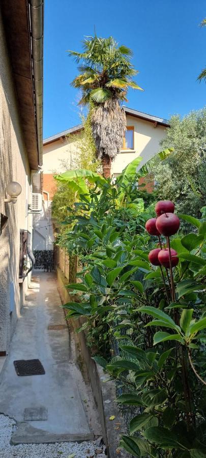 Studio Simone - Terrasse Et Jardin - Tv - Wifi Tuluza Zewnętrze zdjęcie