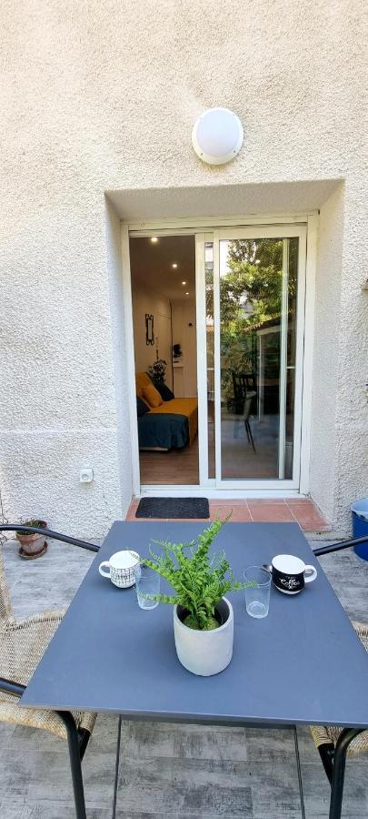 Studio Simone - Terrasse Et Jardin - Tv - Wifi Tuluza Zewnętrze zdjęcie