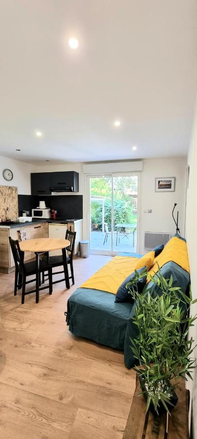 Studio Simone - Terrasse Et Jardin - Tv - Wifi Tuluza Zewnętrze zdjęcie