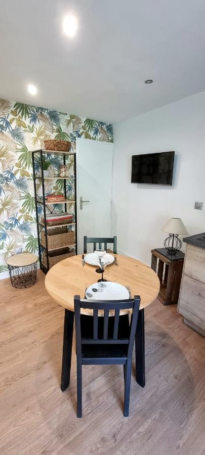 Studio Simone - Terrasse Et Jardin - Tv - Wifi Tuluza Zewnętrze zdjęcie