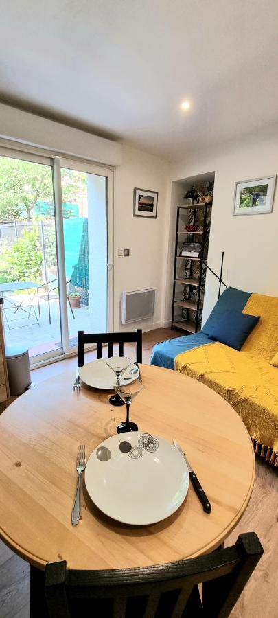 Studio Simone - Terrasse Et Jardin - Tv - Wifi Tuluza Zewnętrze zdjęcie